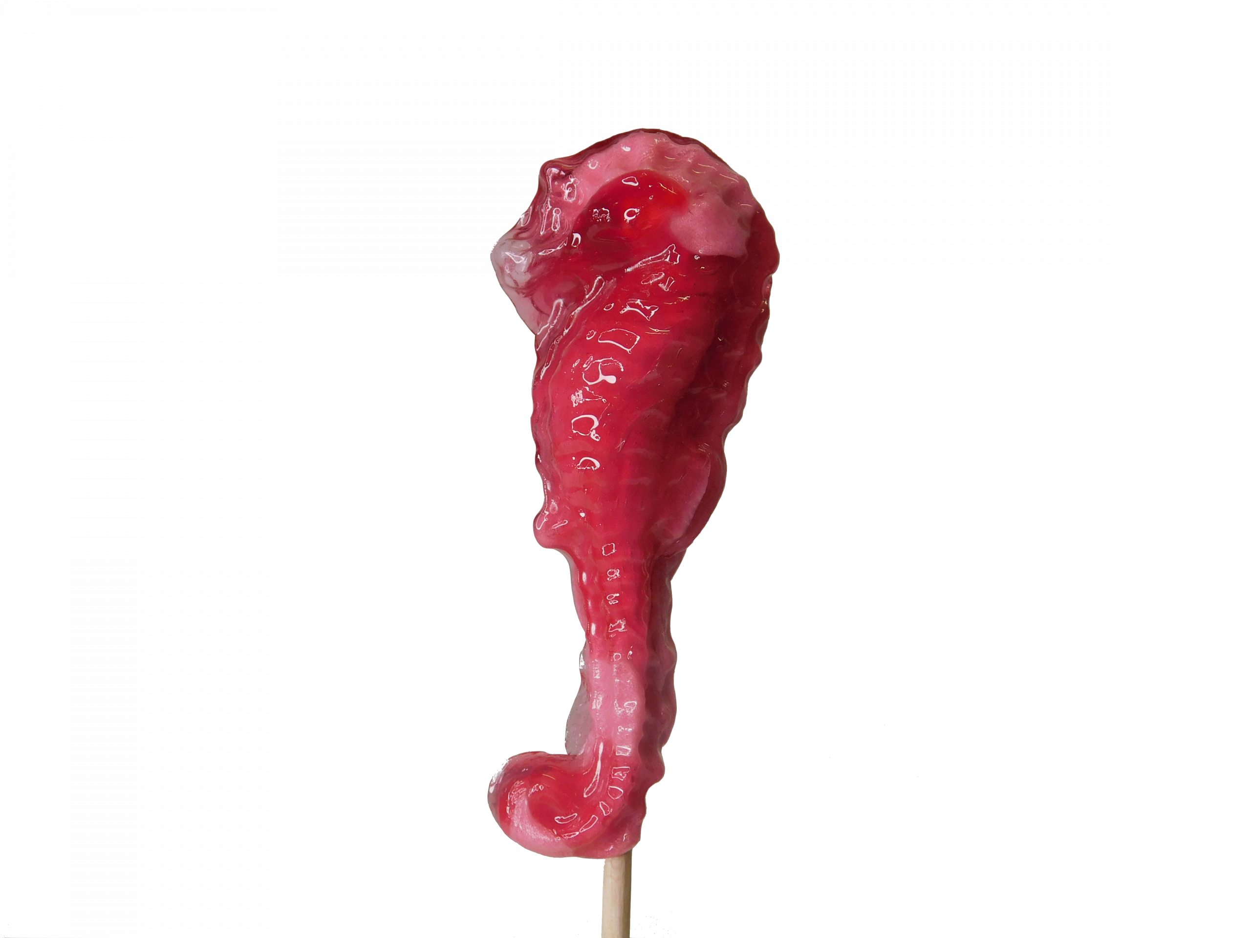 confiserie-hallard-sucettes-hippocampe-sucette-10-g image 1