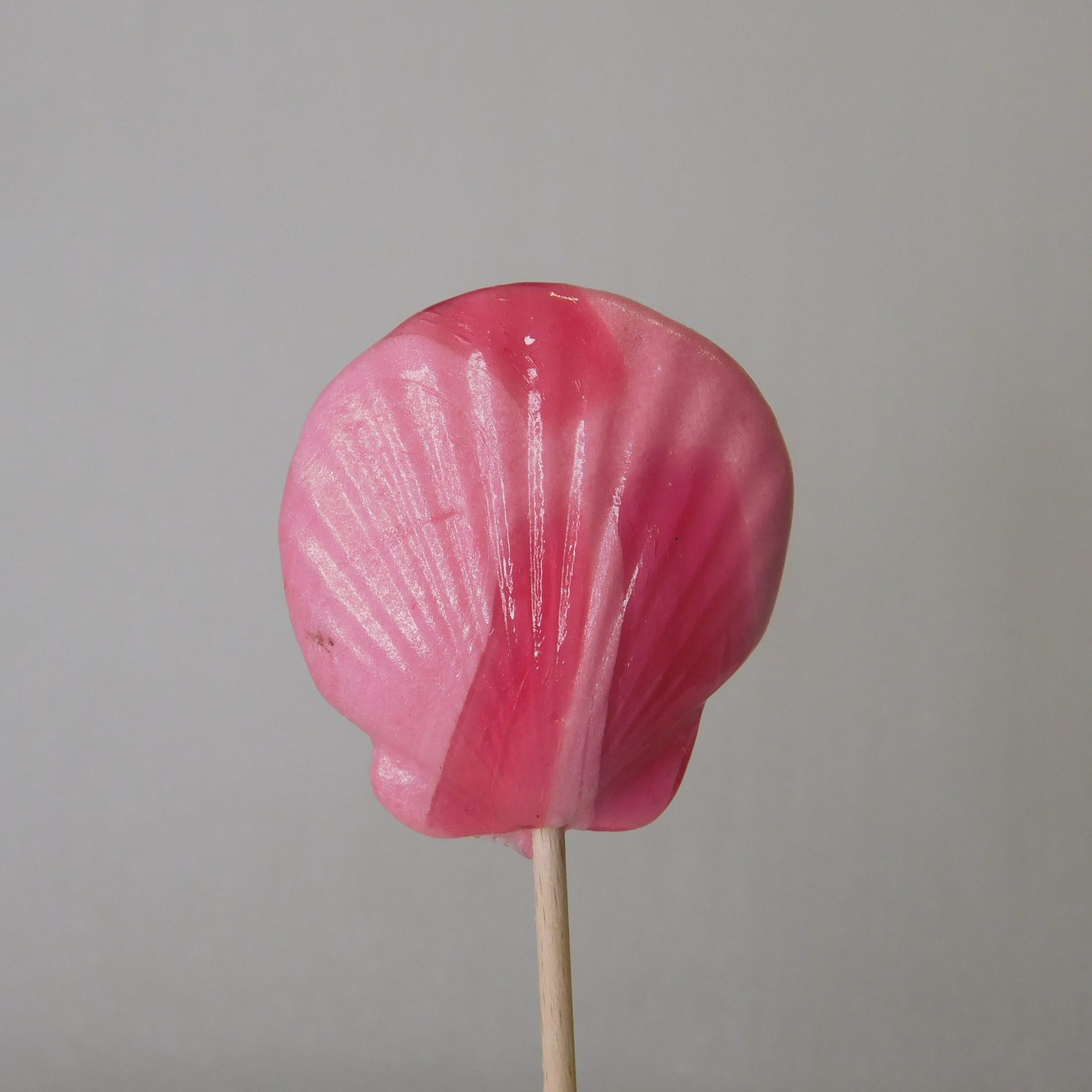 confiserie-hallard-sucettes-sucette-coquillage-artisanale image 1