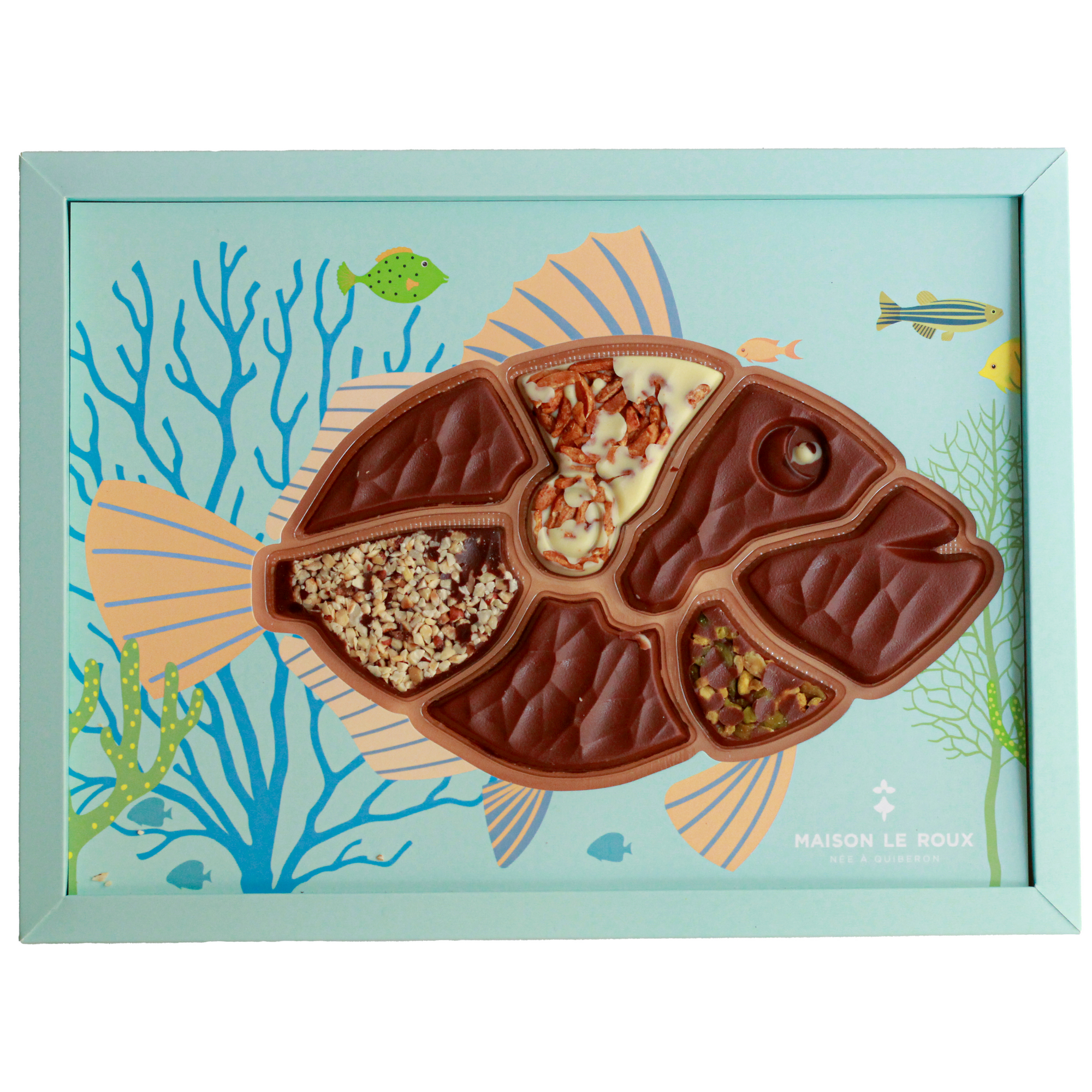 henri-le-roux-poisson-saint-pierre-coffret-185g-chocolat image 1