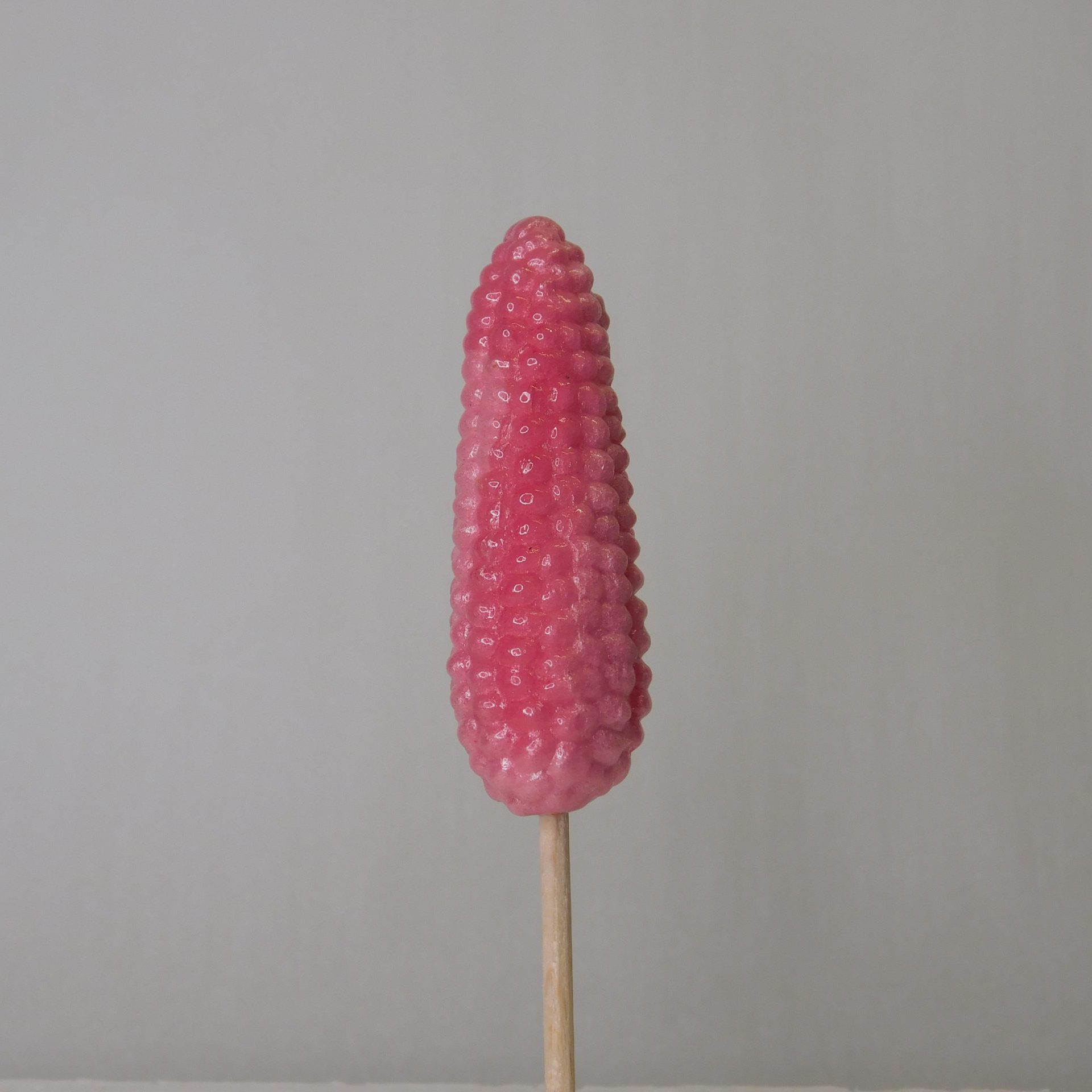confiserie-hallard-sucettes-ma-s-sucette-fantaisie-fruit image 1