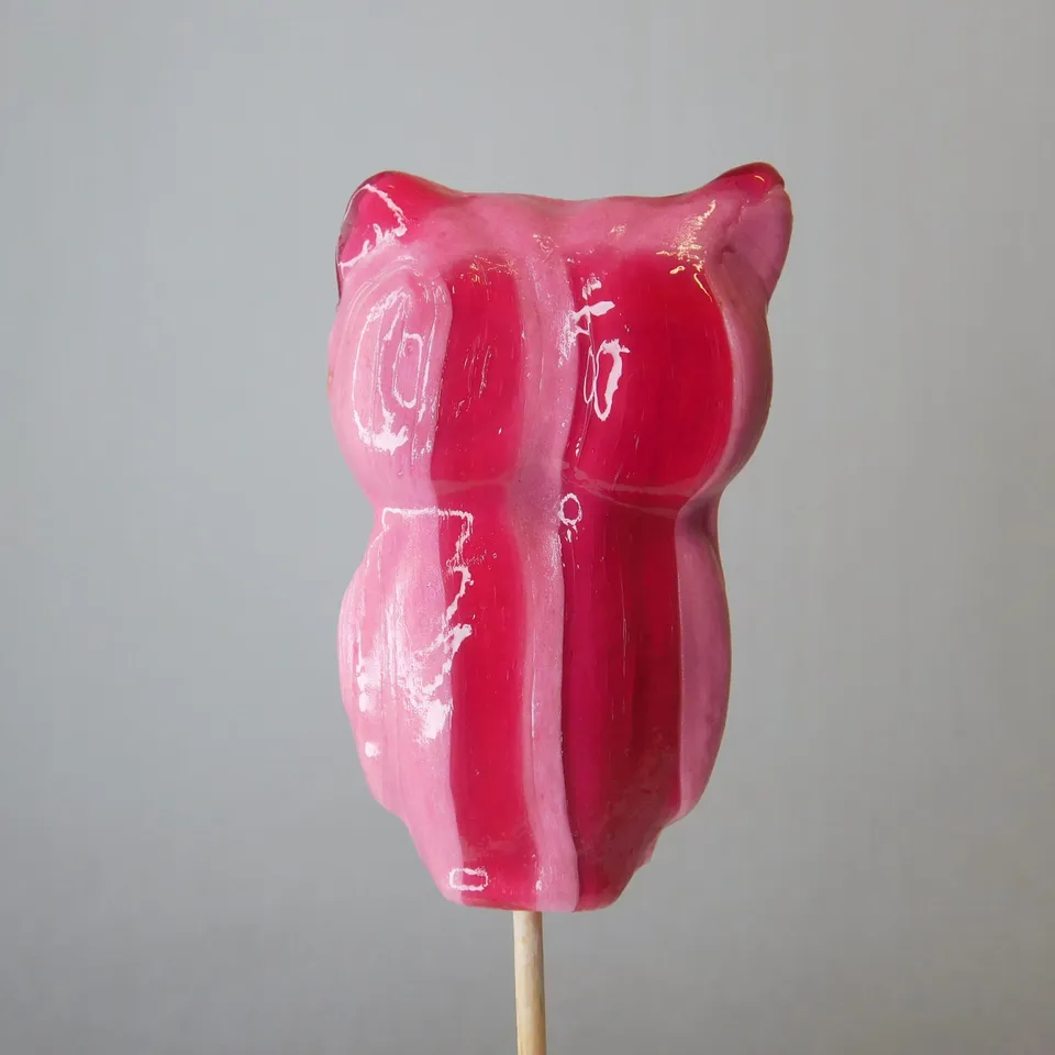 hallard-sucettes-sucette-chouette-artisanale image 1