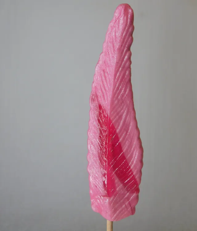 confiserie-hallard-sucettes-sucette-plume-artisanale image 1
