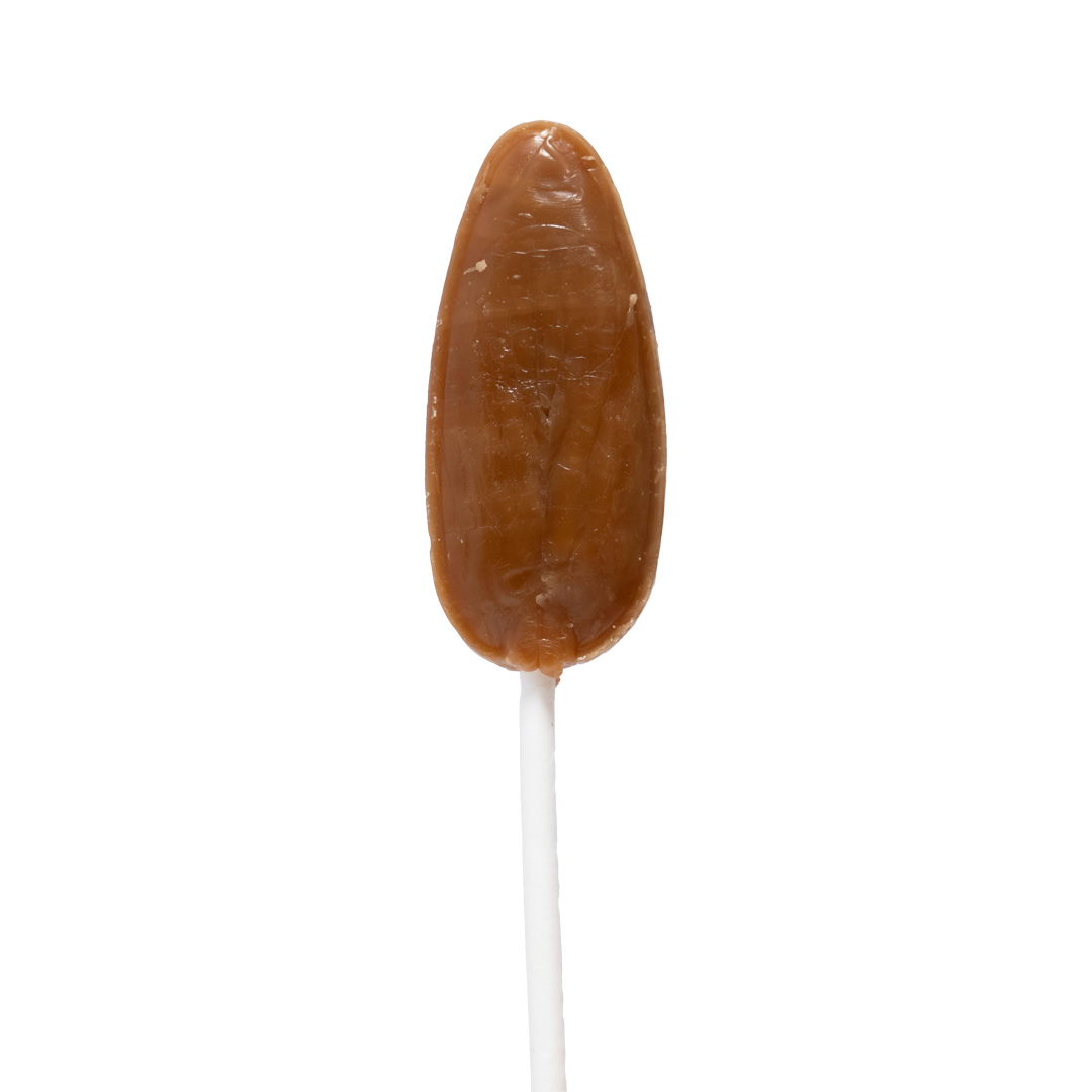 caramels-d-isigny-confiseries-sachet-13-sucettes-169g image 3