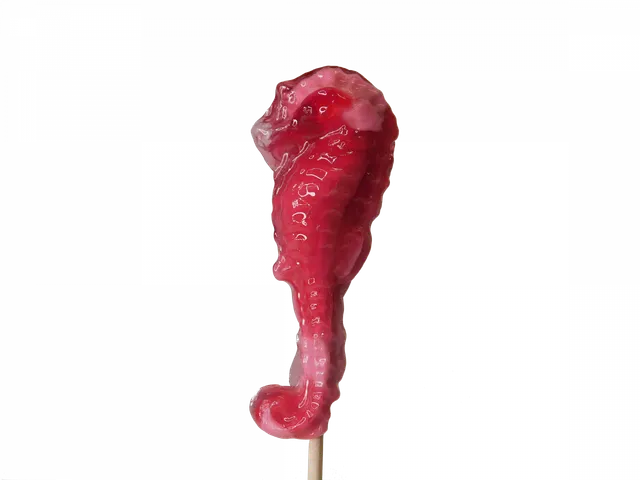 confiserie-hallard-sucettes-hippocampe-sucette-10-g image 1