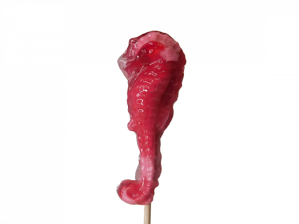 confiserie-hallard-sucettes-hippocampe-sucette-10-g image 1