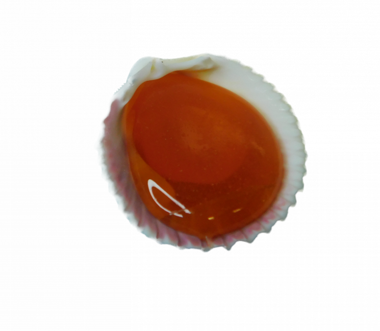 confiserie-hallard-sucettes-roudoudous-coquillage-sucette image 1