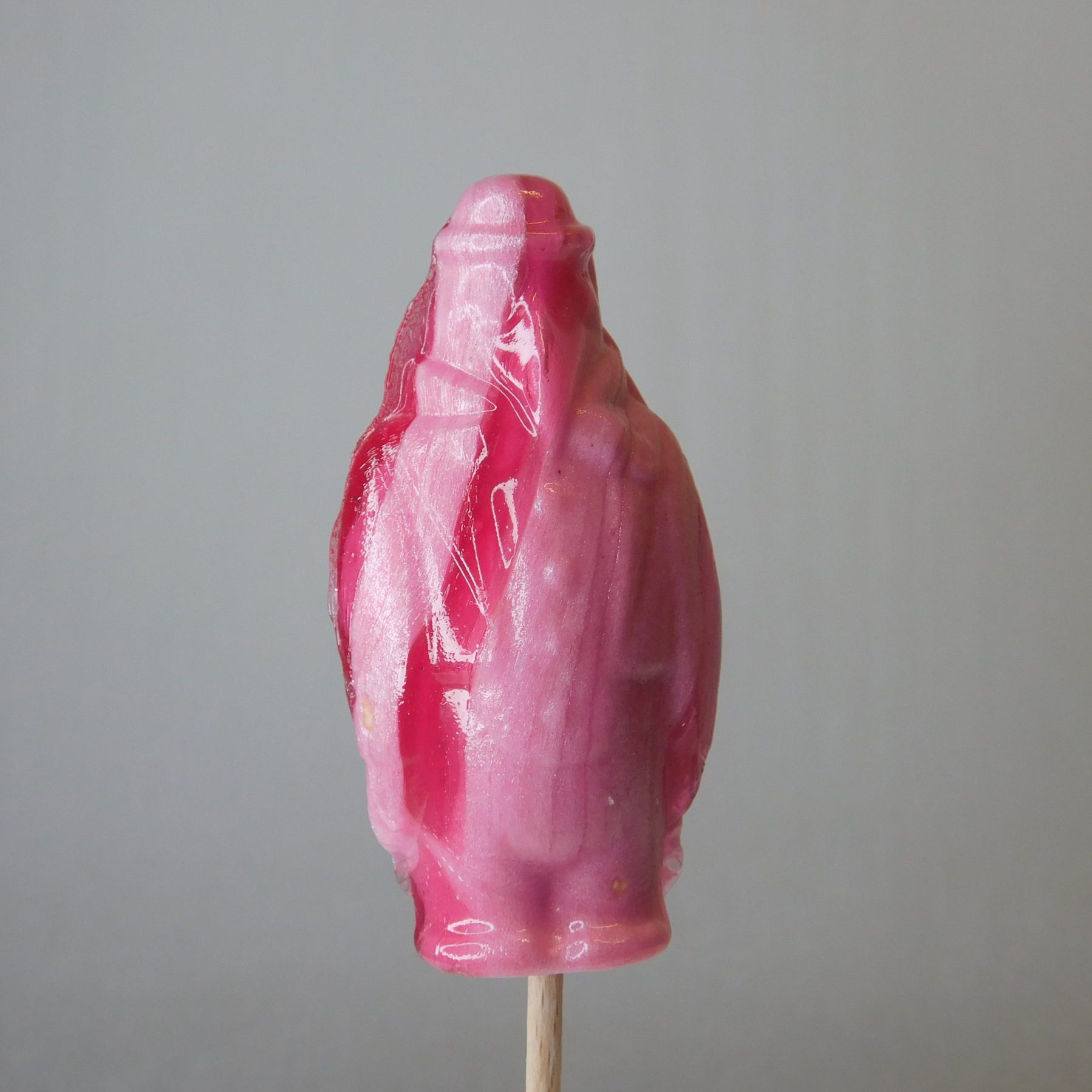 confiserie-hallard-pingouin-sucette-sucre-cuit-enfant image 1