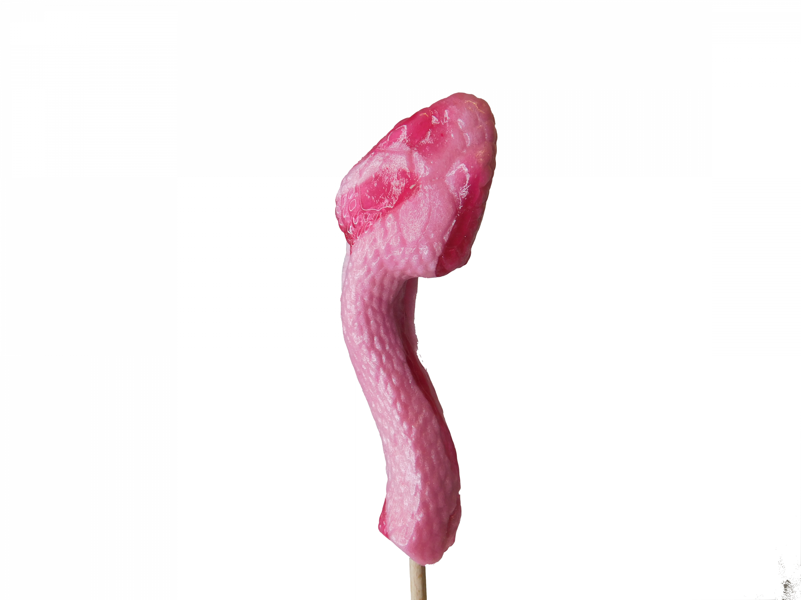 confiserie-hallard-sucettes-serpent-sucette-fantaisie-fruit image 1