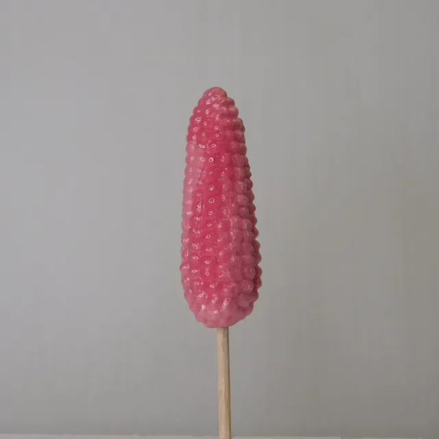 confiserie-hallard-sucettes-ma-s-sucette-fantaisie-fruit image 1