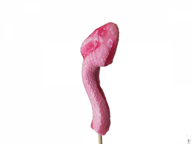 confiserie-hallard-sucettes-serpent-sucette-fantaisie-fruit image 1