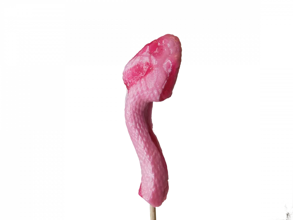 confiserie-hallard-sucettes-serpent-sucette-fantaisie-fruit image 1