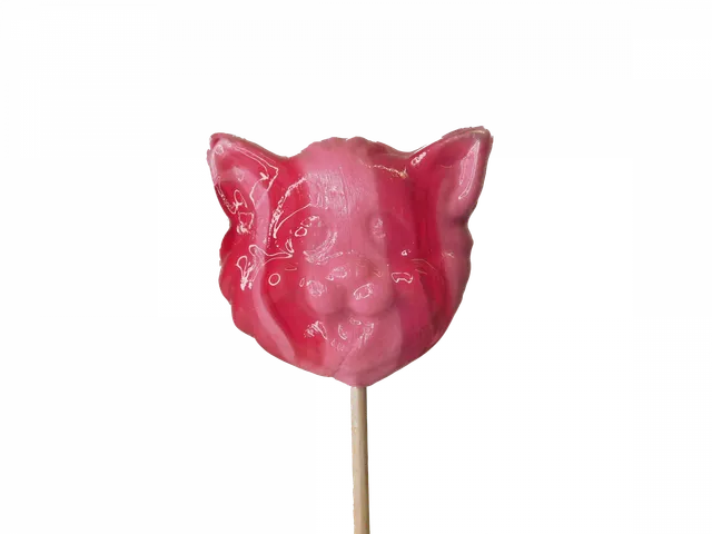 confiserie-hallard-sucettes-t-te-de-chat-sucette-sucre-cuit image 1