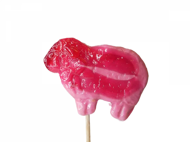 confiserie-hallard-sucettes-mouton-sucette-40g image 1