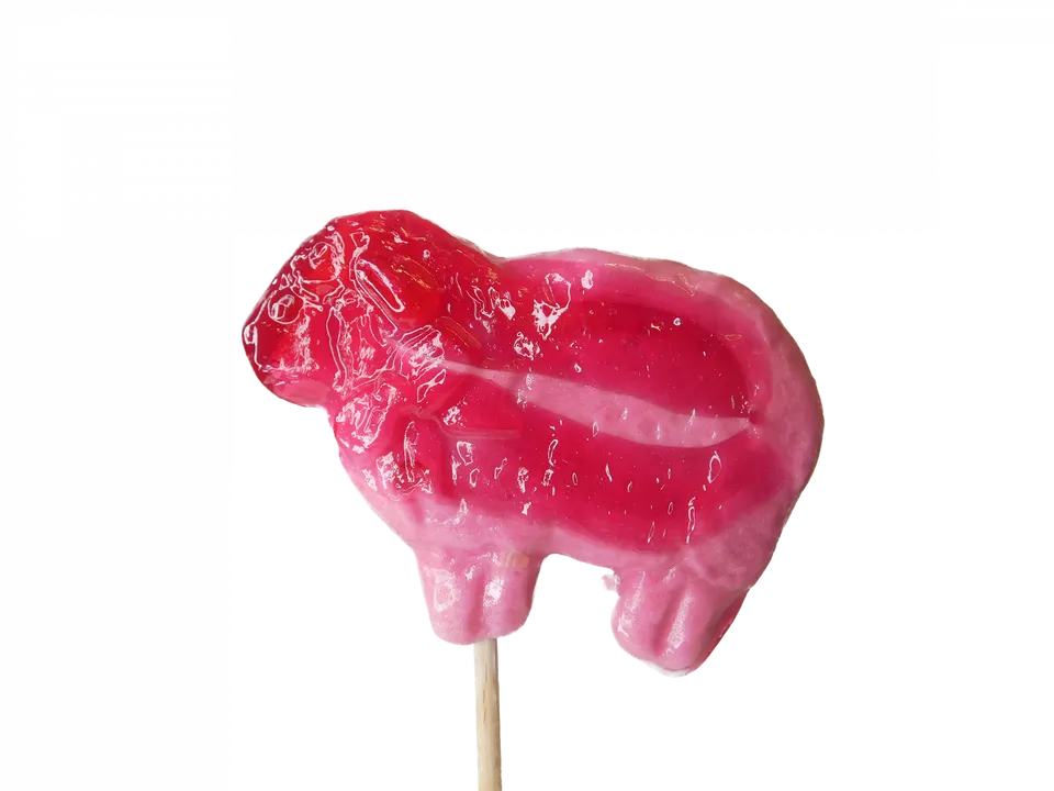 confiserie-hallard-sucettes-mouton-sucette-40g image 1