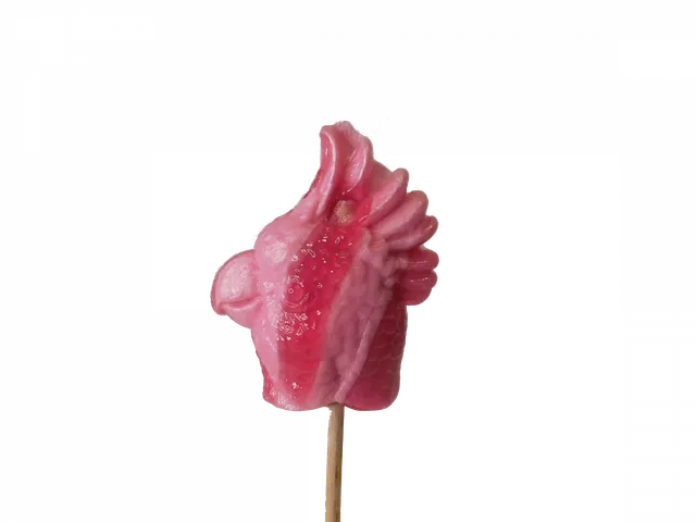 confiserie-hallard-sucettes-oiseau-sucette-sucre-tir-cr-te image 1