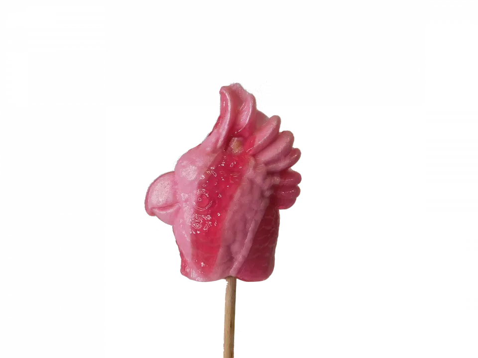 confiserie-hallard-sucettes-oiseau-sucette-sucre-tir-cr-te image 1