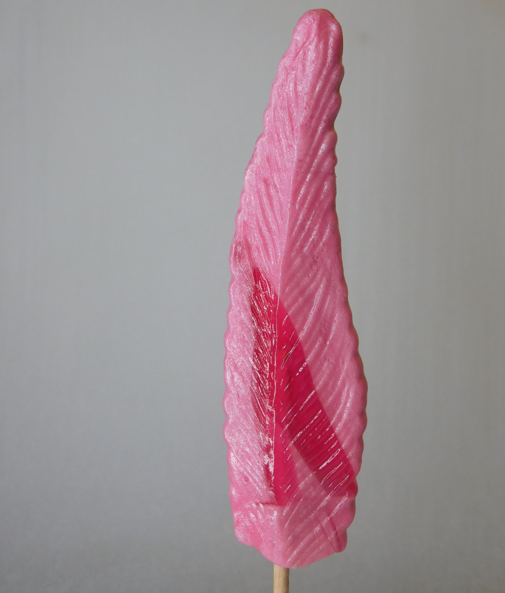 confiserie-hallard-sucettes-sucette-plume-artisanale image 1