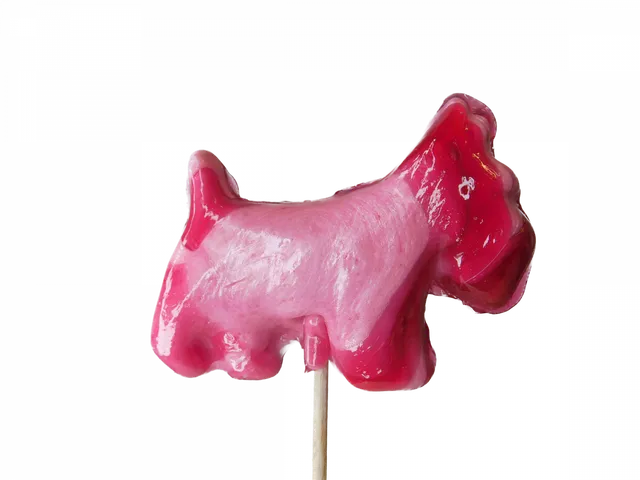 confiserie-hallard-sucettes-fox-terrier-sucette-25g image 1