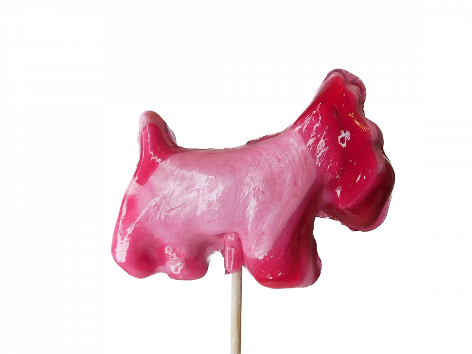 confiserie-hallard-sucettes-fox-terrier-sucette-25g image 1