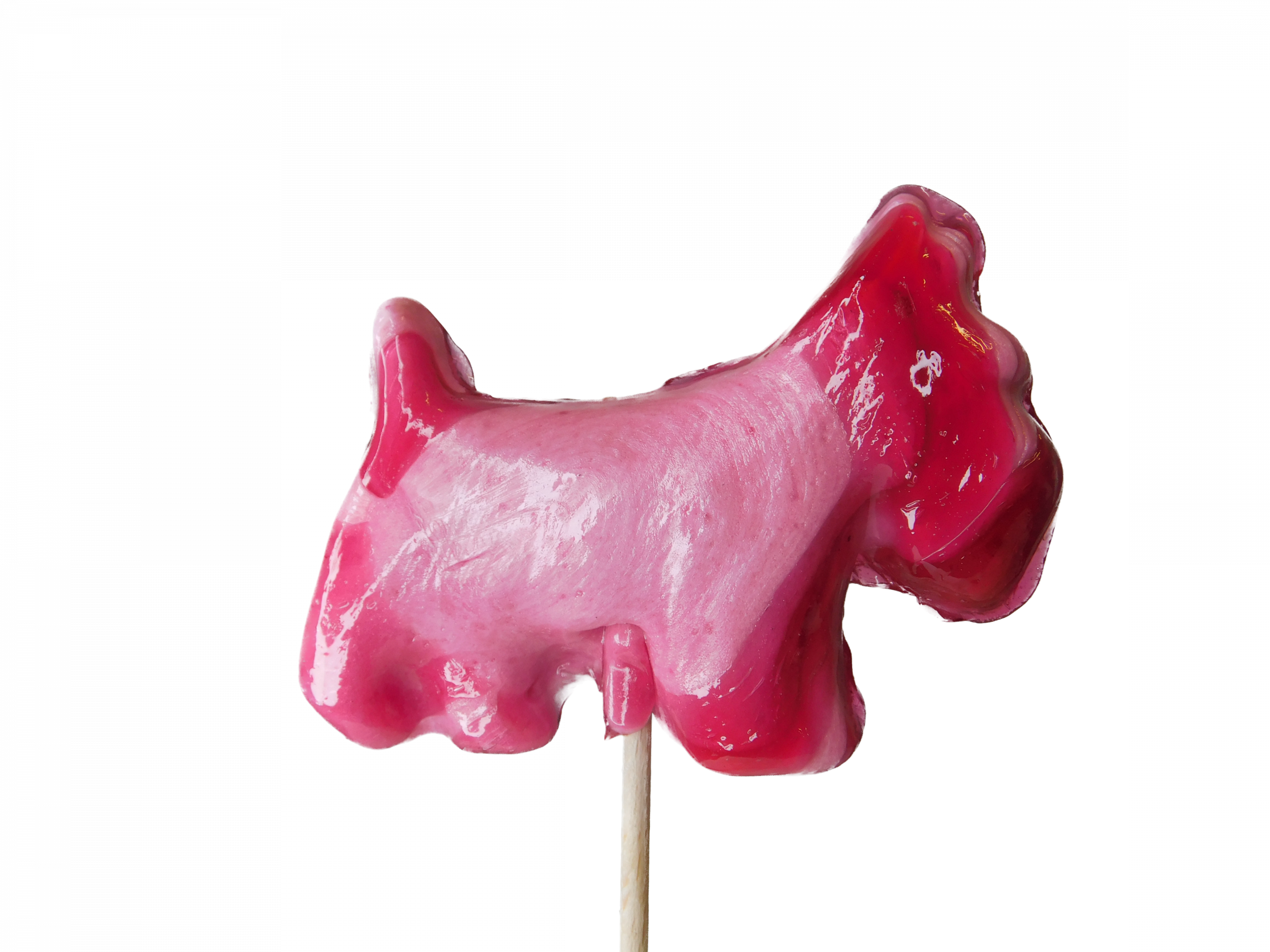 confiserie-hallard-sucettes-fox-terrier-sucette-25g image 1