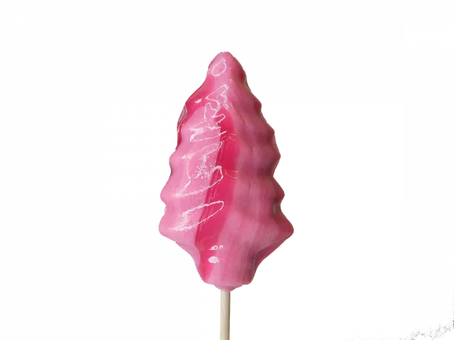 confiserie-hallard-sucette-sapin-sucre-cuit-sans-g-latine image 1